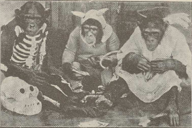 "Nāve - velns - eņģelis"

/Atpūta, 14.11.1924