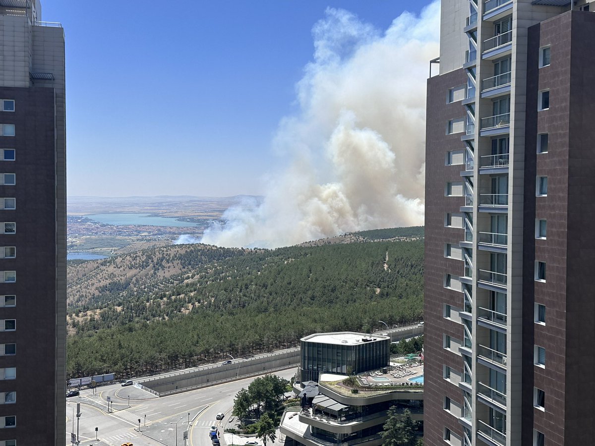 sendika_org's tweet image. ODTÜ ormanında yangın devam ediyor:
Müdahale devam etse de alandaki yetkililerin aktardığına göre hava rüzgarlı olduğu için durum sürekli değişiklik gösteriyor
sendika.org/2025/07/odtu-o…