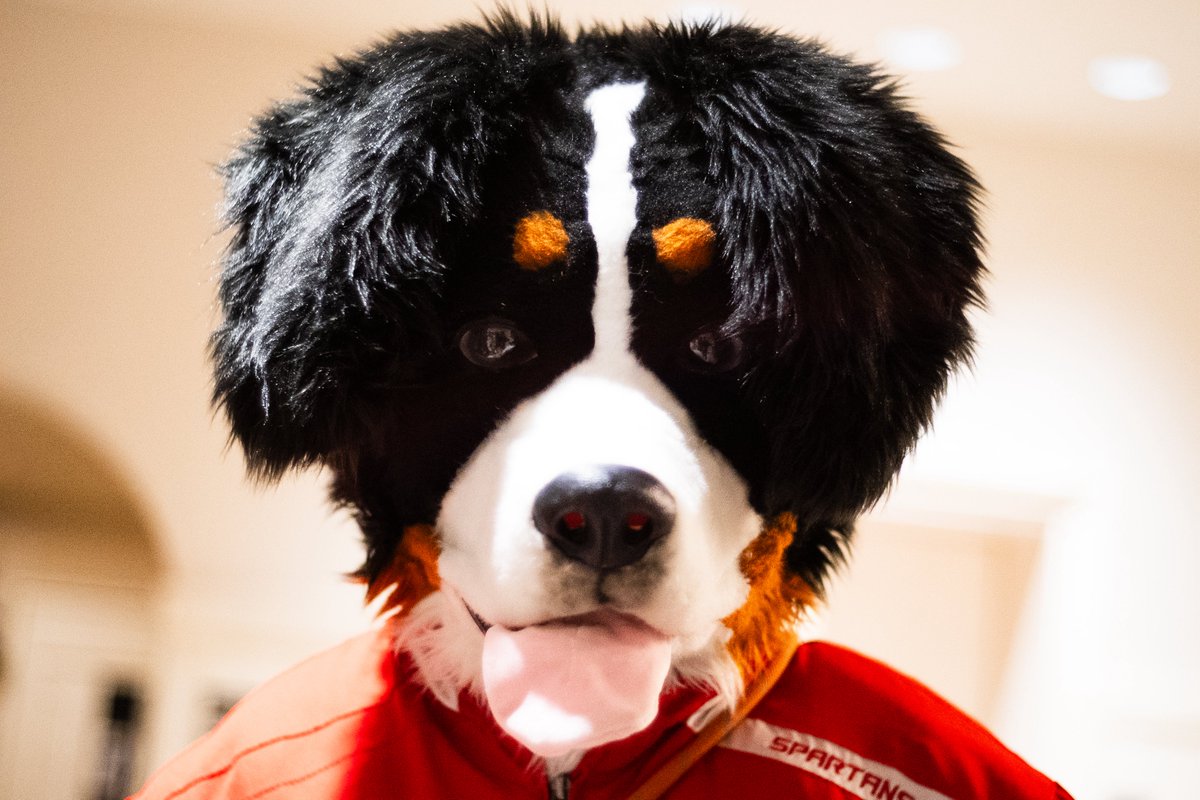 S_pC_t's tweet image. #BurninBernese