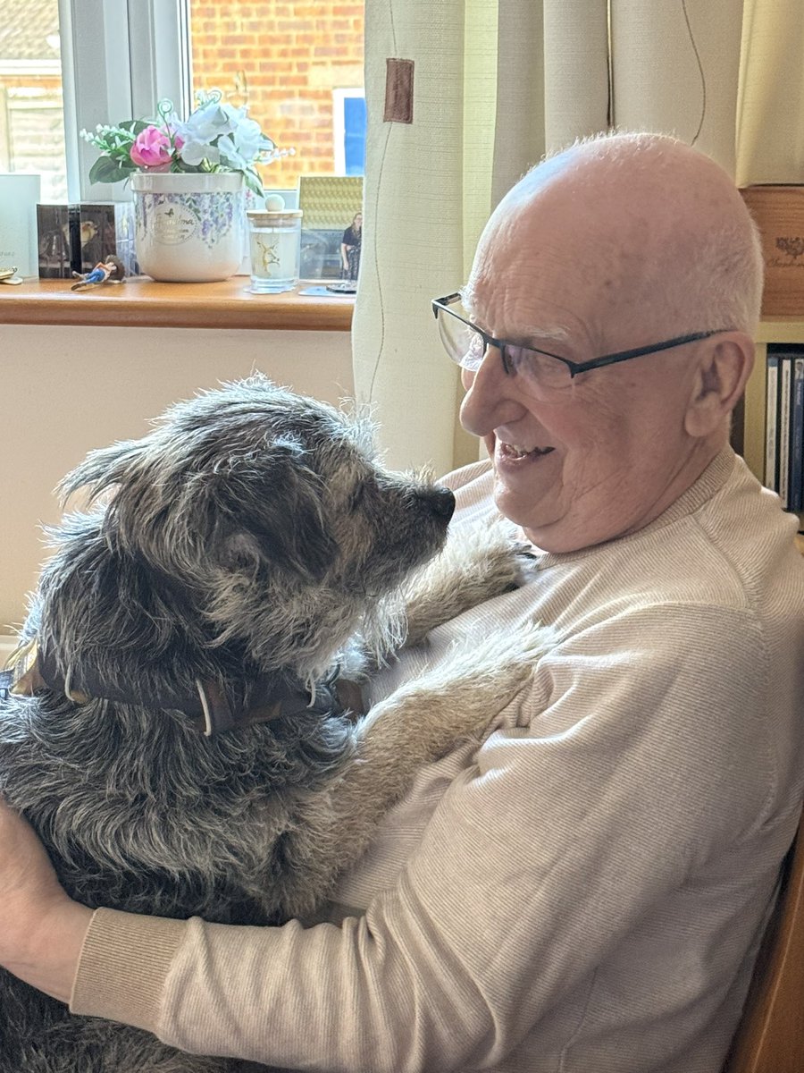 DuncanPickles's tweet image. Had a play with one of my new Birthday ballies and now off to the favourites. My old lady isn’t coming today, she’s very sad and knows how Much Scrapppps loved going so she will go next time as she doesn’t want to upset them *nods* and just cry #DuncanPickles #dogsofX #btposse 💔