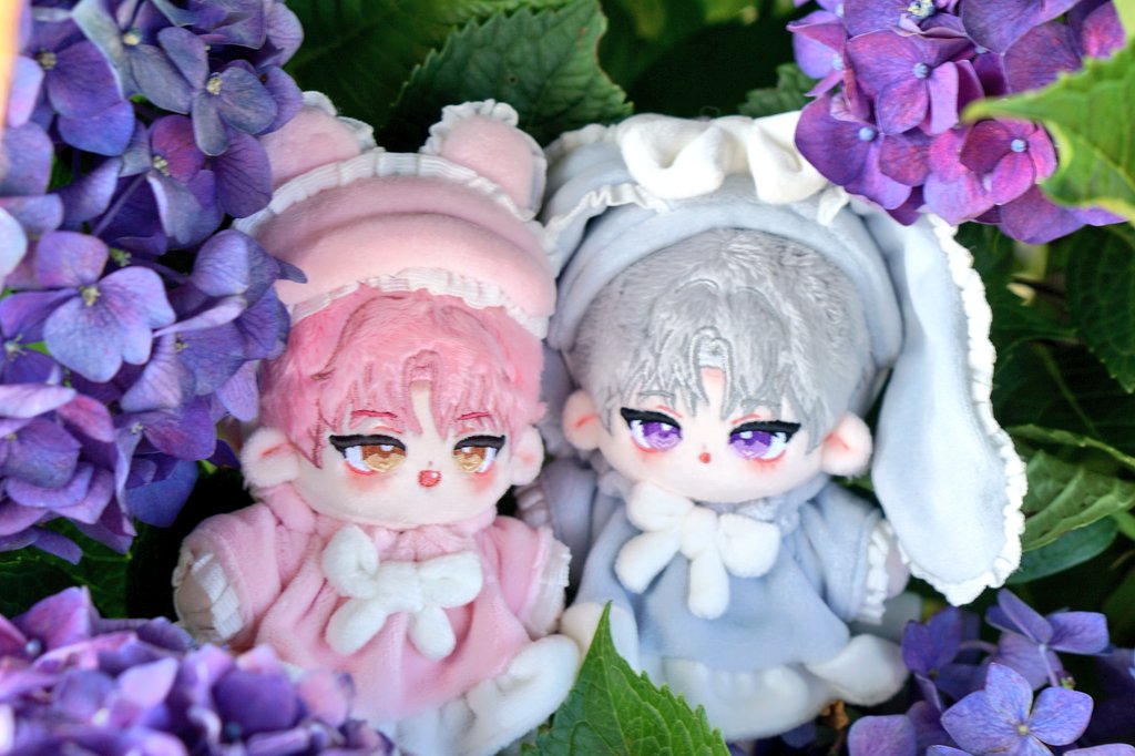 수국💜

#폭신해_코튼윶
#달콤해_캔디랩