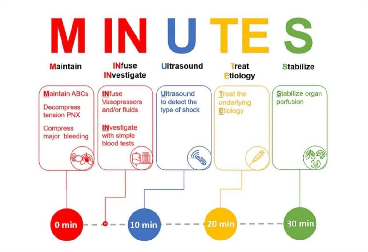 drsthanus's tweet image. The "MINUTES" bundle, a structured approach for the initial 30-minute management of undifferentiated circulatory shock.
intjem.biomedcentral.com/articles/10.11…