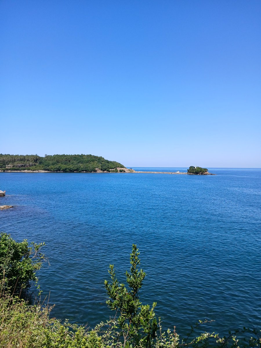 i b r a (@ibra_ozer) on Twitter photo 