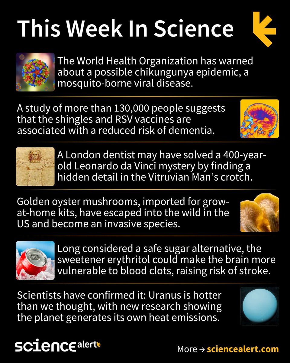 ScienceAlert's tweet image. This Week In Science (July 20–26)🧪

A WHO warning, invasive mushrooms, hot Uranus, and much more!

#ScienceNews #ScienceAlert #STEM #ThisWeekInScience #TWIS