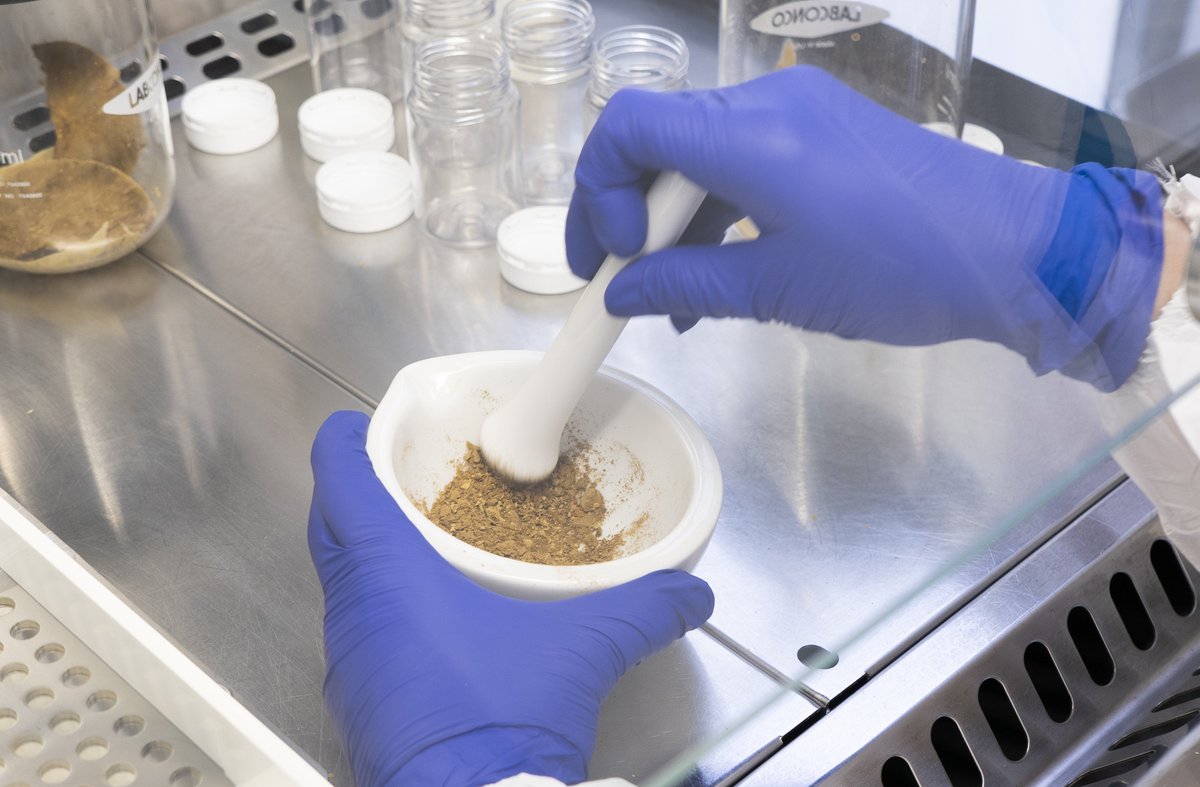 hbellvitge's tweet image. 👉 El diari especialitzat @redaccionmedica es fa ressò de la posada en marxa del primer Banc de Microbiota Fecal de #Catalunya i el primer públic d'aquestes característiques a l'Estat per al tractament d'infeccions intestinals greus i que permetrà el trasplantament de microbiota…
