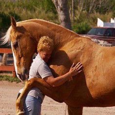 Quitting my job and doing this for a couple years when $horse hits 100M