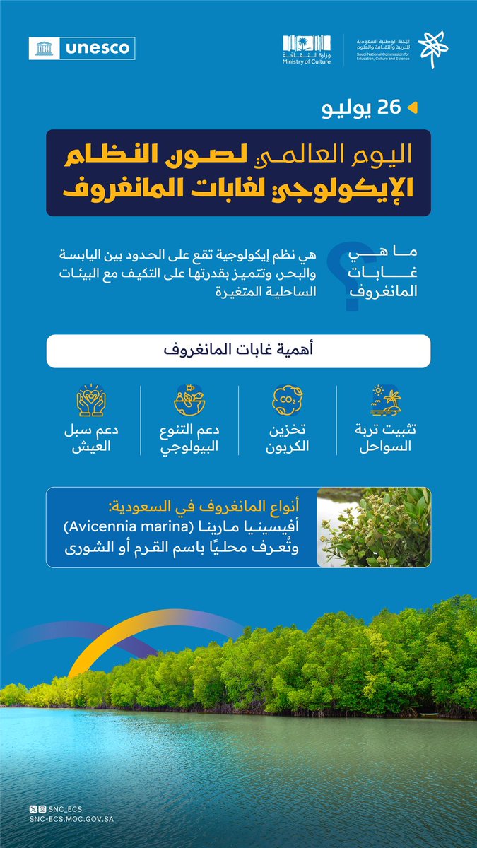 نحتفي في #اليوم_الدولي_لصون_النظام_الإيكولوجي_لغابات_المانغروف بالدروع الخضراء التي تحمي شواطئنا من التآكل، وتمتص الكربون، وتخفف من آثار التغير المناخي #اللجنة_الوطنية_السعودية_للتربية_والثقافة_والعلوم 
#نتصل_مع_العالم
