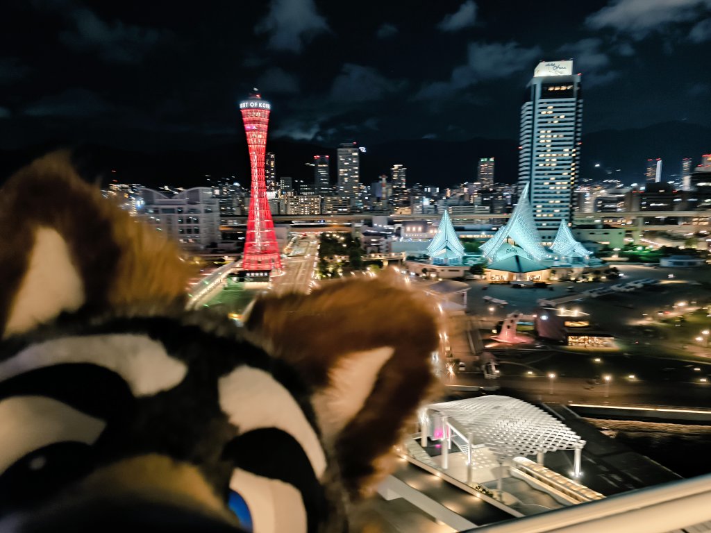 TORAJIRO2323's tweet image. 夜景inKOBEといったらコレですぬ〰️ん🌃
 #FursuitsFriday