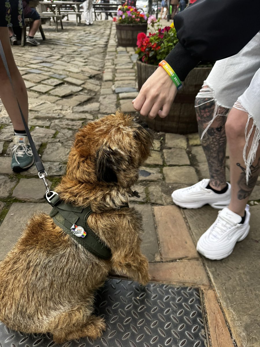 Kazza_belle's tweet image. A lush morning in Hebden Bridge handing out 200 stories of pride merch at Happy Valley Pride! We've loved seeing all the pooches and now run out of everything so off to check out the stands at the park! @northernassist