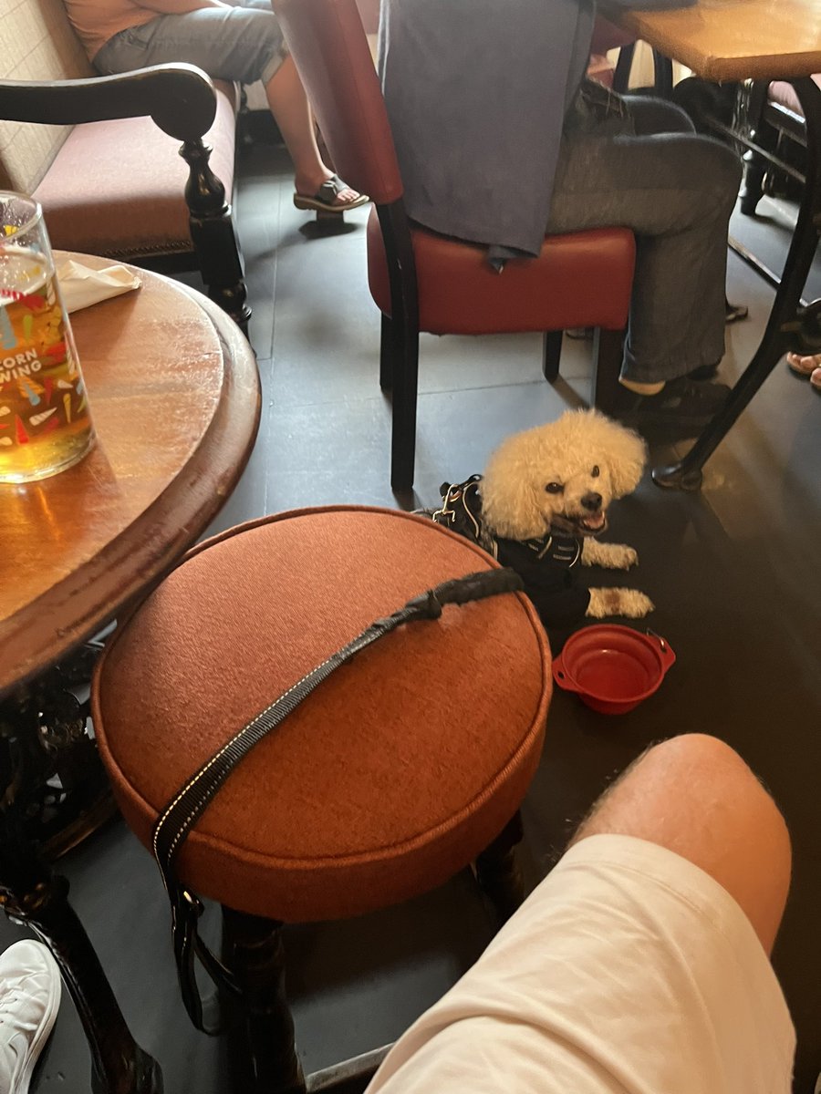 marcrenton9's tweet image. The Rose and Crown in Ulverston, nice train ride from our hotel in GOS the Netherwood for a cheeky one night stay.