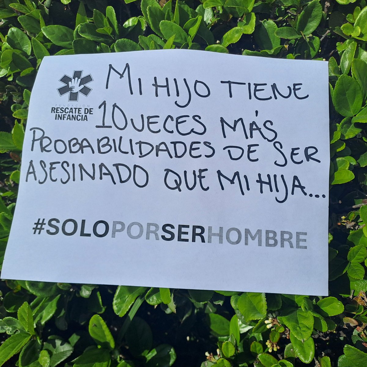 NMahsati's tweet image. A una madre no le duele más perder a una hija que a un hijo.
Estoy harta del feminismo que deshumaniza a los varones y los hacen víctimas de segunda clase.
#SoyMujerAntifeminista