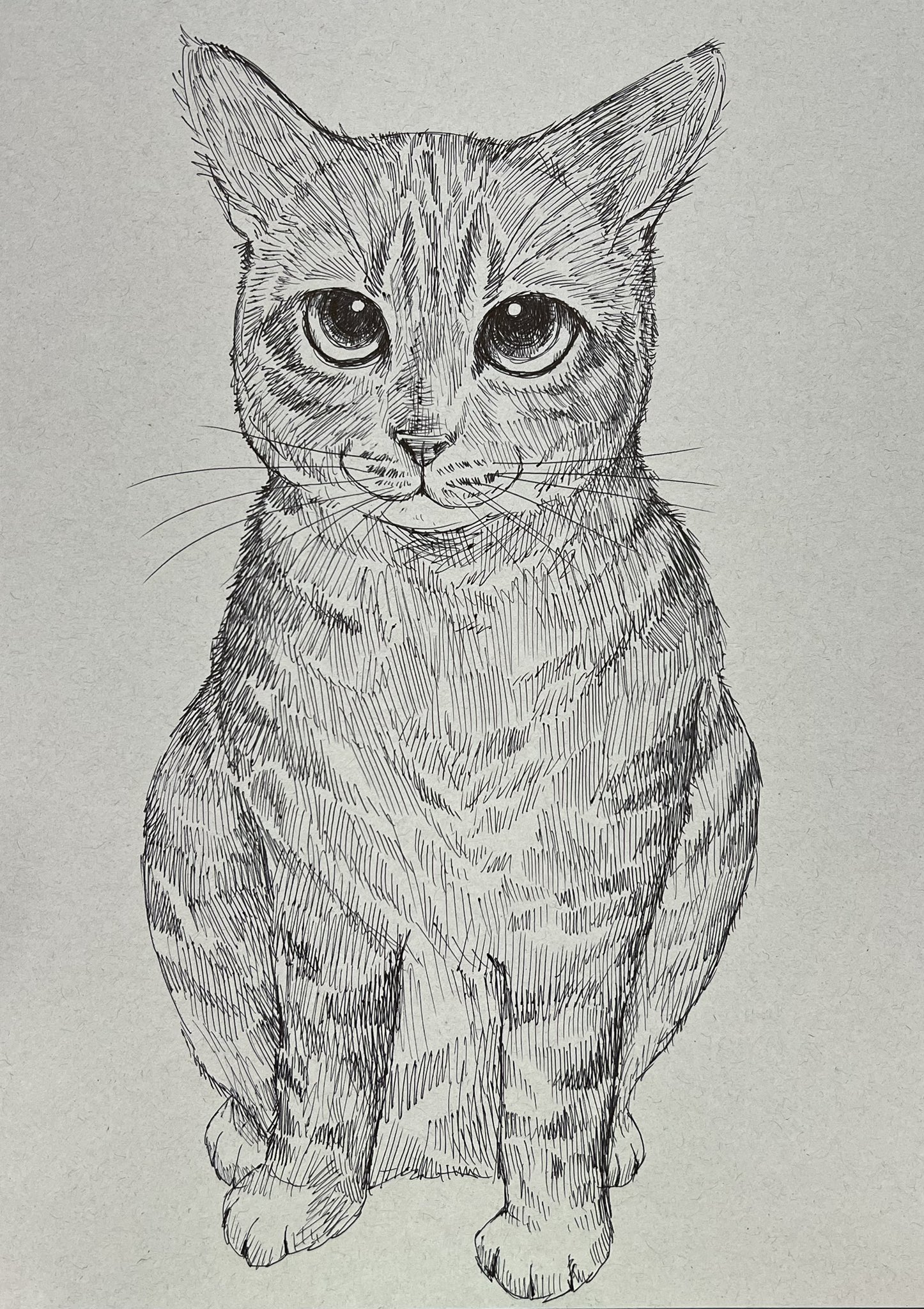 YUKARI 猫イラスト Yukari on X: 