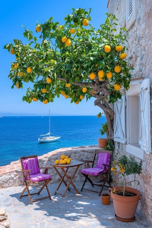 DrRani778897's tweet image. 