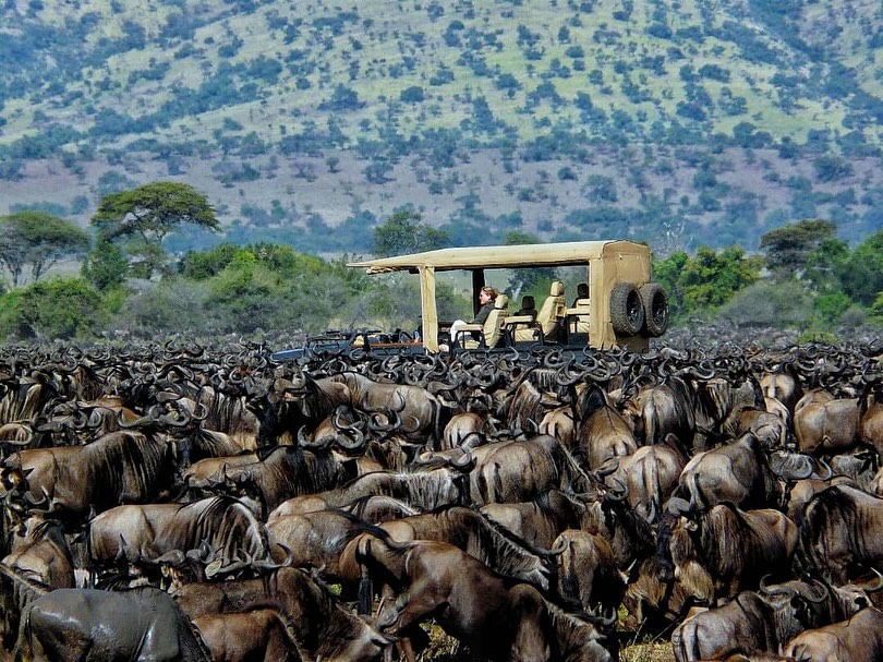 Visit Tanzania tweet media