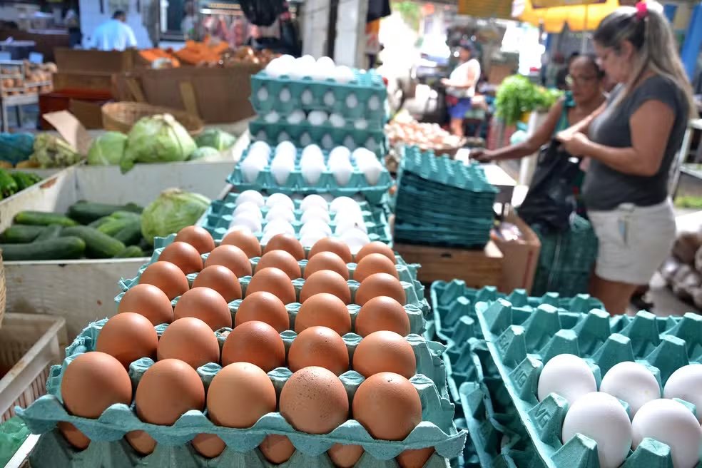 PrJopelim's tweet image. Quanto tá na Sua Cidade?
Ovos brasileiros, que seriam exportados para Venezuela, já podem ser comprados com preços baixos nos supermercados em todo o país.
Somando com a tarifa dos EUA, preços tendem a cair ainda mais, chegando a -75%.
O Brasil exporta ovos principalmente para…