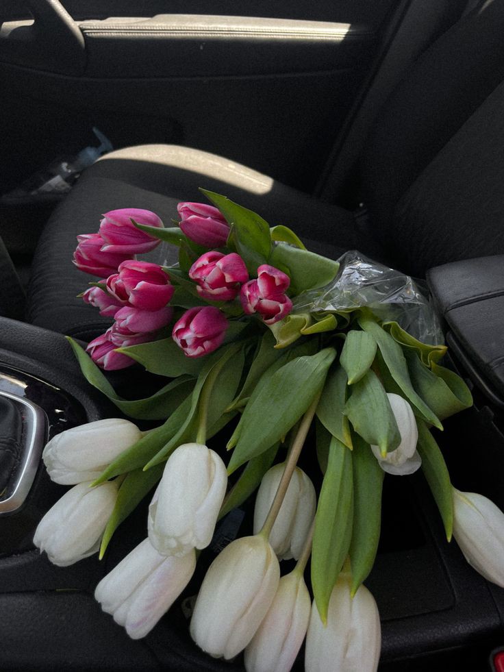 tutututututulip's tweet image. 