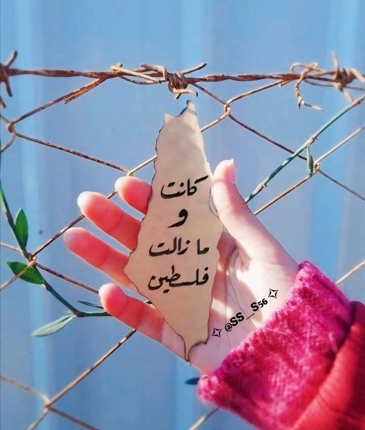 SS__s56's tweet image. ---
.
.
❖ ضُـمُّـوا أَهْـلَ غَـزَّةَ فِـي دُعَـائِـكُـمْ 🕊️
فَـوَاللهِ لَـقَـدْ بَـلَـغَ فِـيـهِـمُ الـحُـزْنُ مَـدَاهُ 💔
وَوَصَـلَ بِـهِـمُ الـكَـرْبُ مُـنْـتَـهَـاهُ... 🇵🇸💔🌧️
.
.
#غزة_تقتل_جوعاً
#غزة
#مساء_الخير