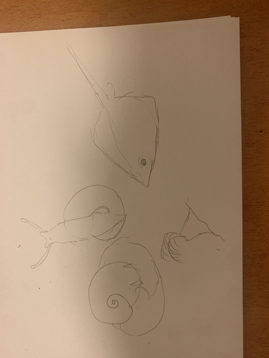 NostocPg3_VR's tweet image. 練習？
