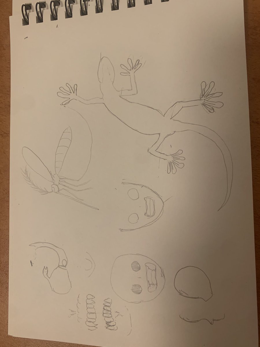 NostocPg3_VR's tweet image. 練習？