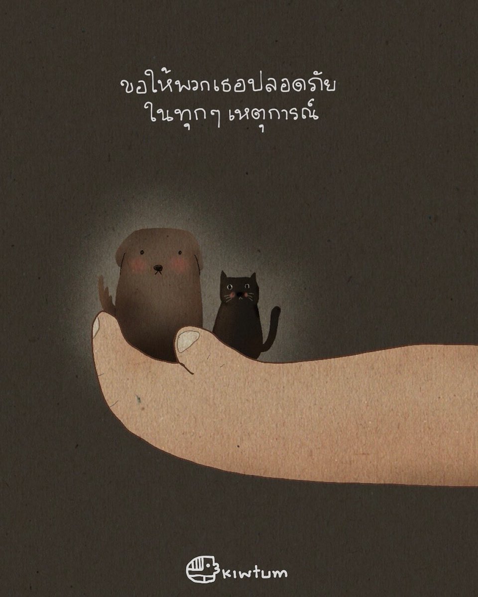 kiwtum's tweet image. ไม่ว่าจะเหตุการณ์ไหน
ก็ขอให้พวกเธอปลอดภัยนะ

🐶🐱🤍