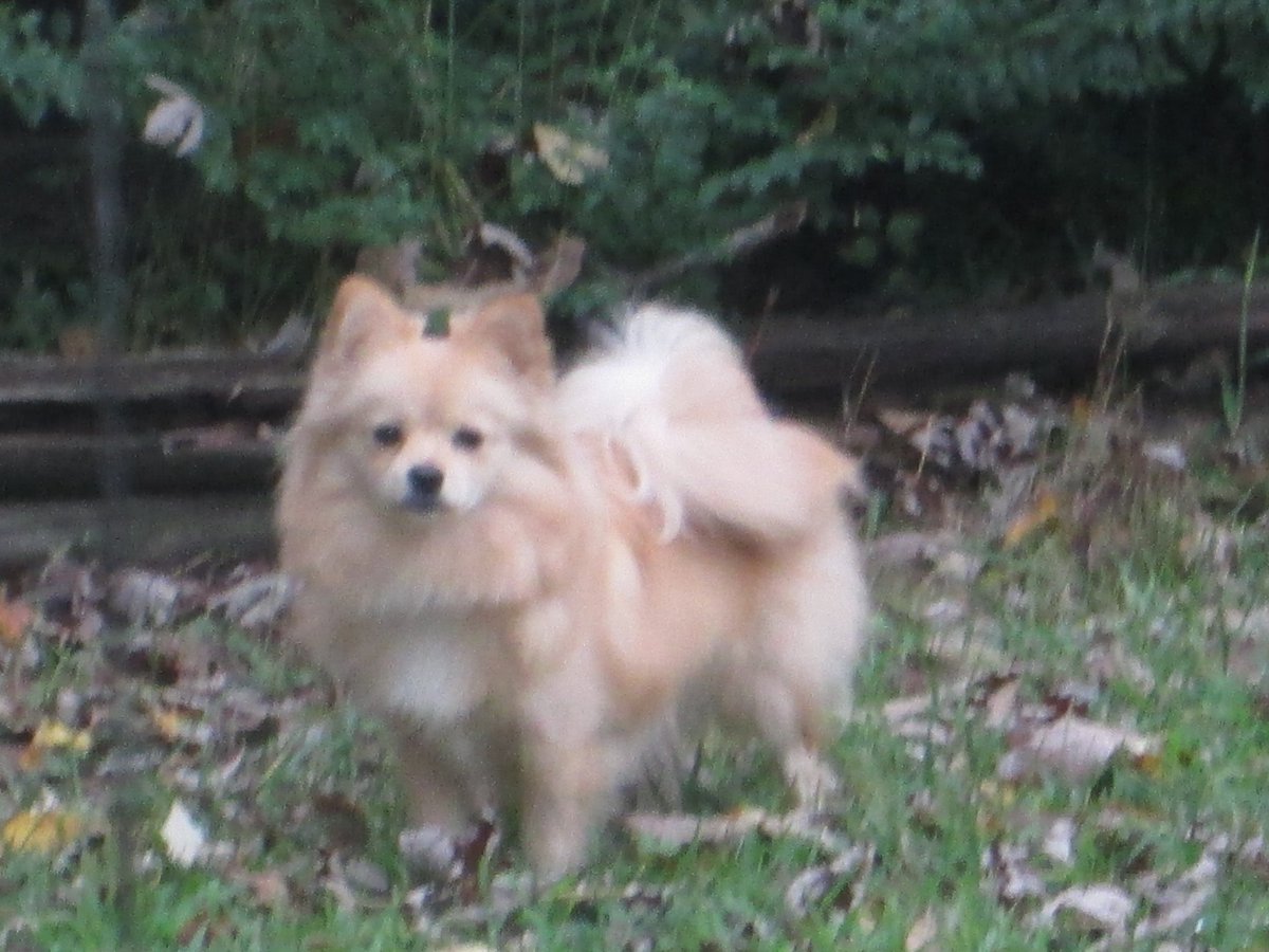 The devil will appear as the object of your desires...