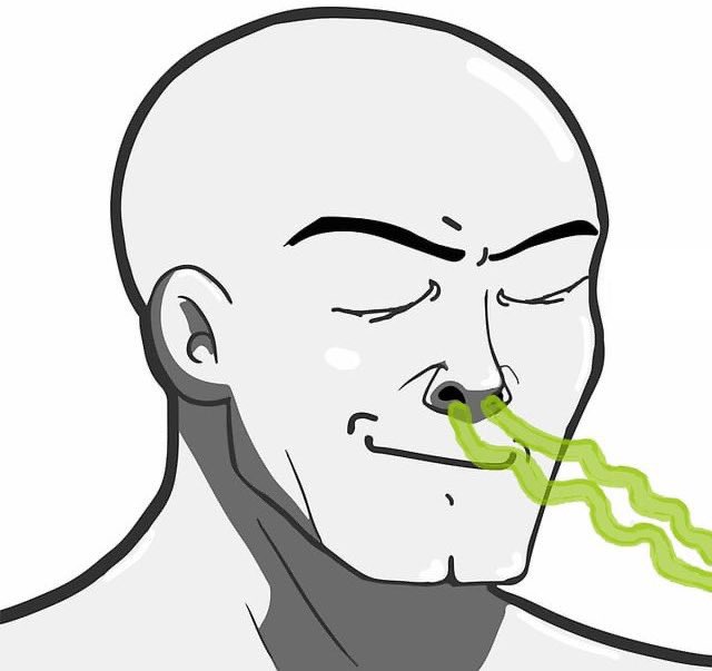 OriginalRollo's tweet image. Fartcoin.