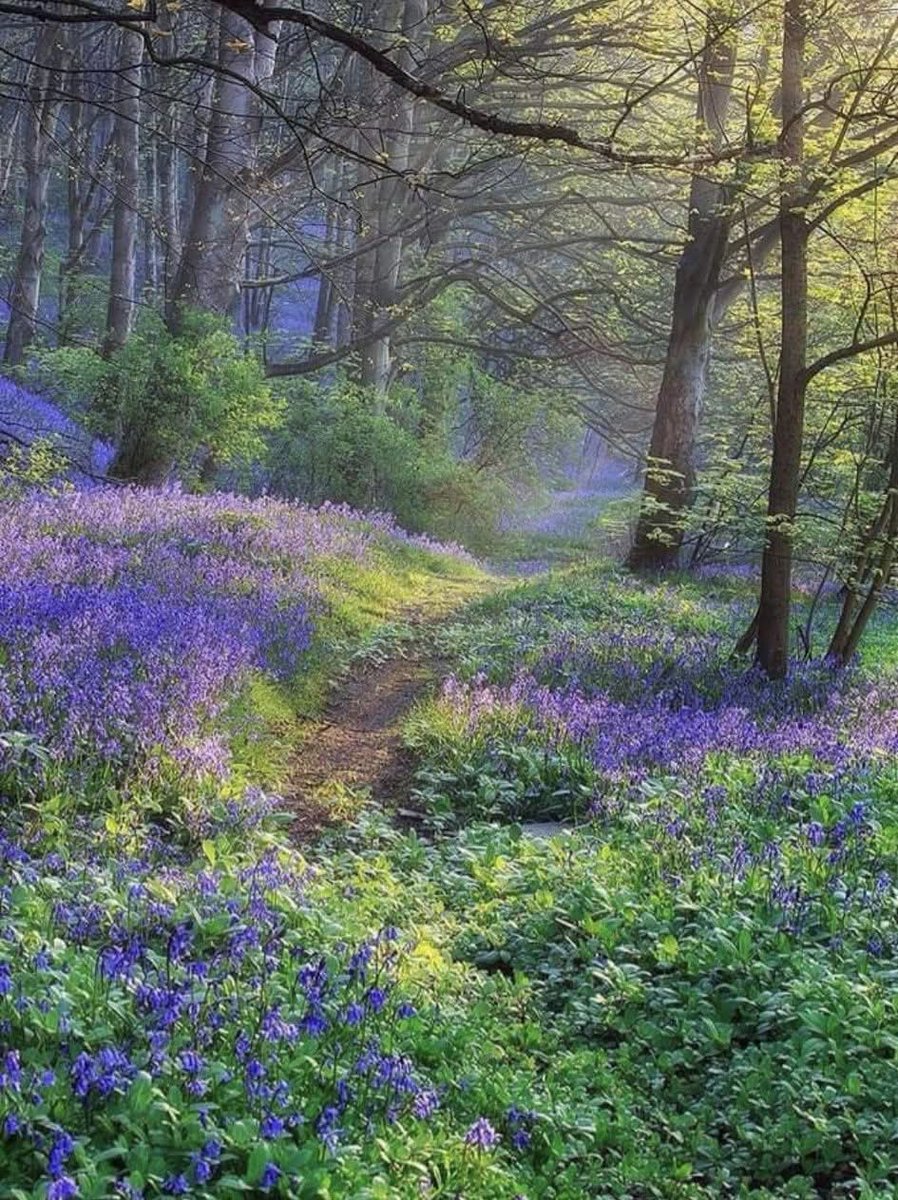 <a href="/juanlorenzo155/">Juan Lorenzo</a> <a href="/MARIALUISAMAR5/">MARIA LUISA</a> <a href="/clementgzsm/">Clement</a> <a href="/AlefonM/">alejandra m.fontana</a> <a href="/LatofaOb/">👑❤Latifa❤👑</a> <a href="/grandesol2016/">LUA CHEIA DE AMOR.</a> <a href="/CeliaChao/">Celia Chao</a> <a href="/aldry1061/">Adriana</a> <a href="/RedSpecial8/">RedSpecial</a> <a href="/MsSasha18/">MsSasha</a> <a href="/GloriaMcDonoug8/">Gloria McDonough</a> <a href="/Giselle_zmm/">Giselle</a> <a href="/peac4love/">Ceni</a> <a href="/Jacquel47396571/">Jacqueline Santos</a> <a href="/rdubenalvarez/">Ruben</a> <a href="/tuncay6969/">Tolga</a> <a href="/safsafayoub/">kim</a> <a href="/kaleb_vzla/">LEóN CaSTrO</a> <a href="/viajanteblue/">Zé Américo AZUL</a> <a href="/CsertanAtilla/">☯️ Atilla Csertán🕉️</a> <a href="/YakoutLaila/">saray</a> <a href="/sweetrhythms/">Cherie</a> <a href="/DrEssEmm/">Dr</a> Happy Weekend everyone