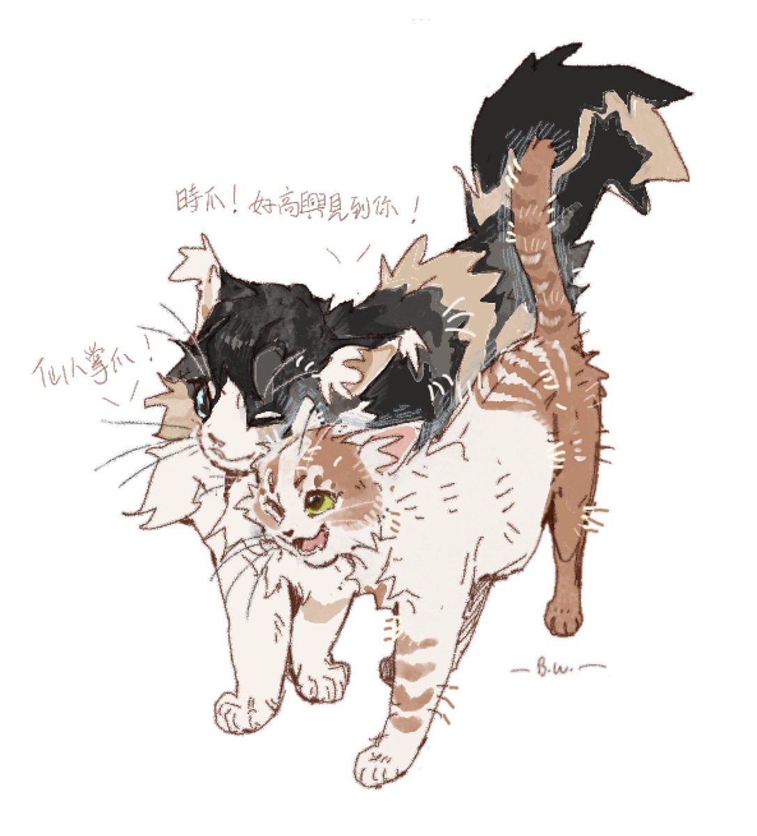 Wingyiluo's tweet image. 还是7u
#warriorcats