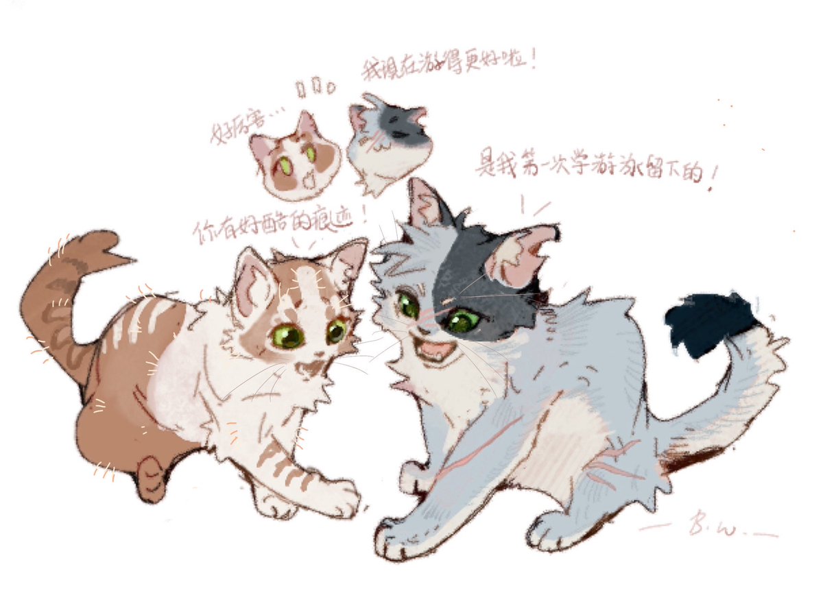 Wingyiluo's tweet image. 还是7u
#warriorcats