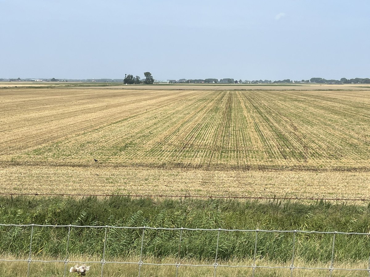 Johan van Beek tweet media