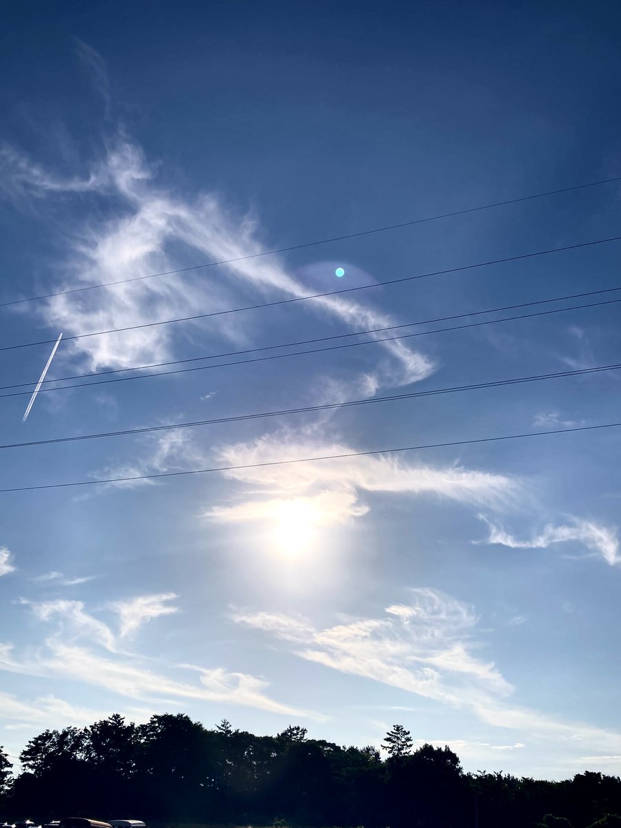 tamon_farm's tweet image. 沢山の龍🐉✨✨✨