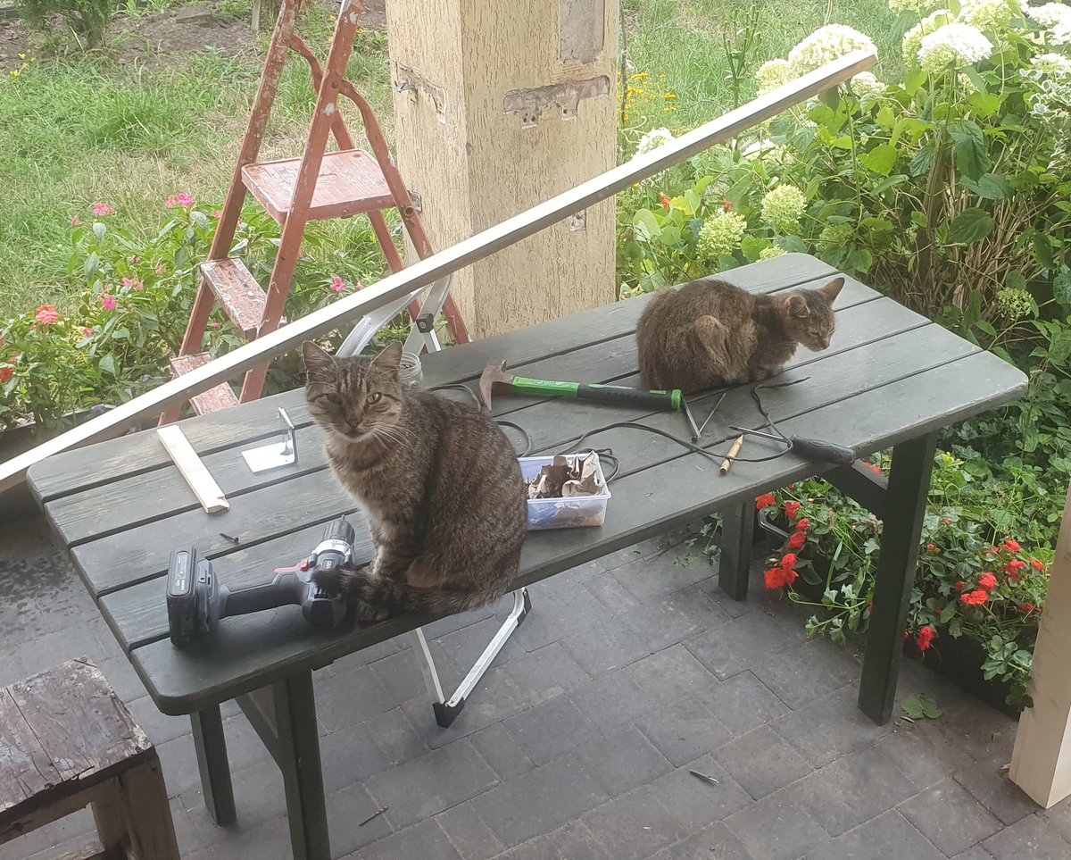 WiktorM15's tweet image. Ekipa remonkotowa
