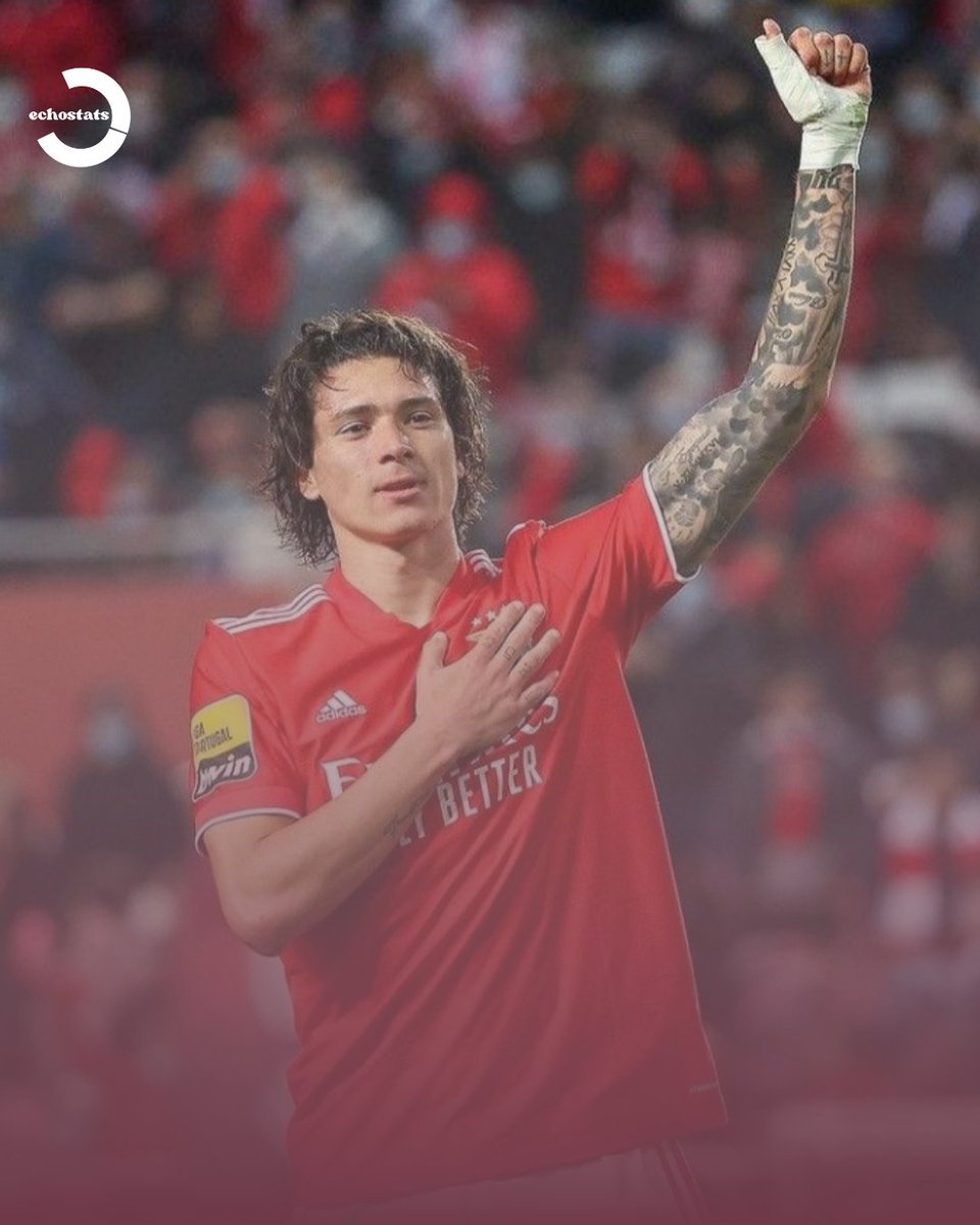 echo9stats's tweet image. Darwin Nunez 2021/22 season
- 26 goals (Most goals)
- 4 Assists
- 30 Goals and Assists (2nd Most Goals and assists)
- 6 Goals UCL matches (10 matches )