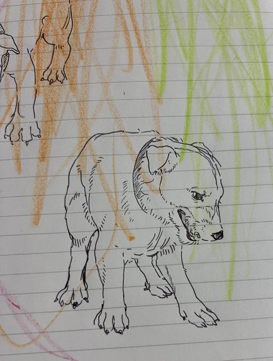 fish_Sulimi's tweet image. 人間描くのが上手く行かない時のリフレッシュ動物シリーズ🐕🦺🦒🦛
結局何も描けずに寝る時間だ😭
良いバデ山が生み出せない😭全部上司のせい😭許さん😭