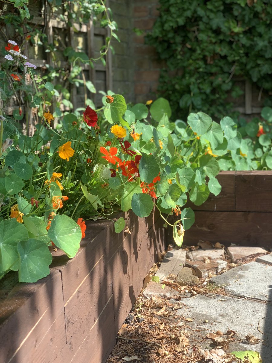 Mark Blackburn tweet media