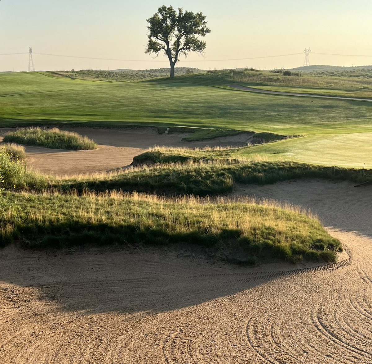 Fescue’s are starting to show off here at Buffalo Dunes! #MuniGolf