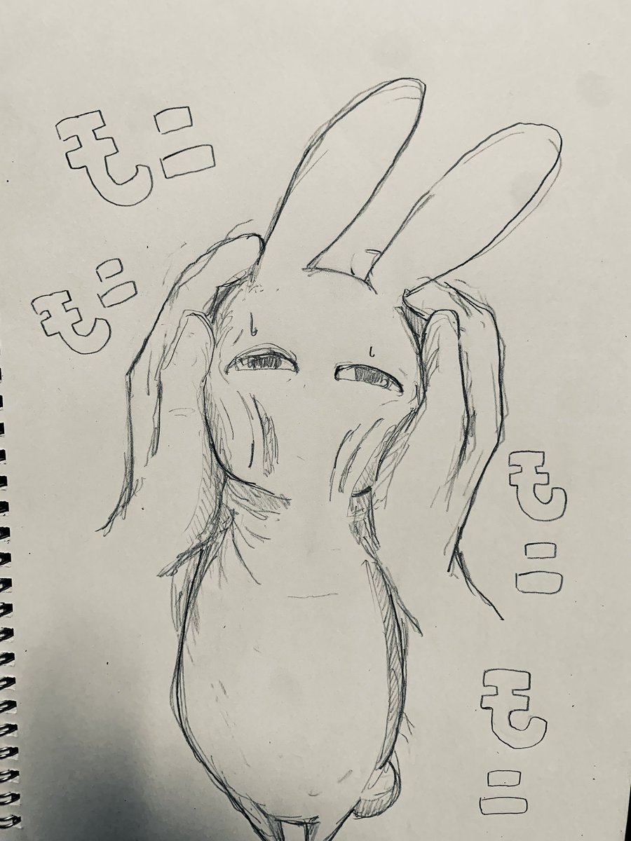 MmI1p's tweet image. #ギタイちゃんごはんだよ