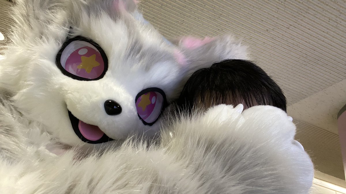 シェイプくんまとめ！
ケモスク以来でしたが、相変わらずかわいい‼︎😍

#みけこん2025なつ