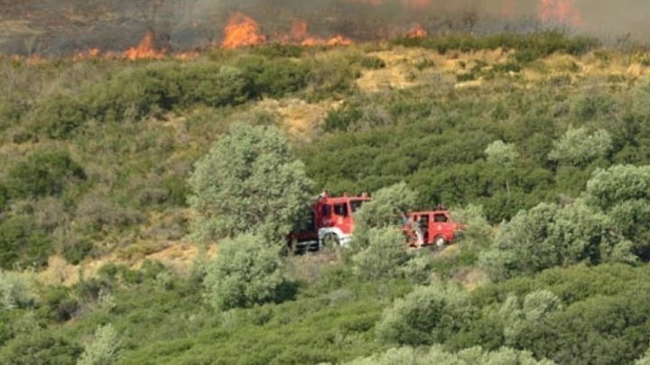 amna_newseng's tweet image. Firefighting forces reinforced on Kythira 

#Fire #Kythira

amna.gr/en/article/921…