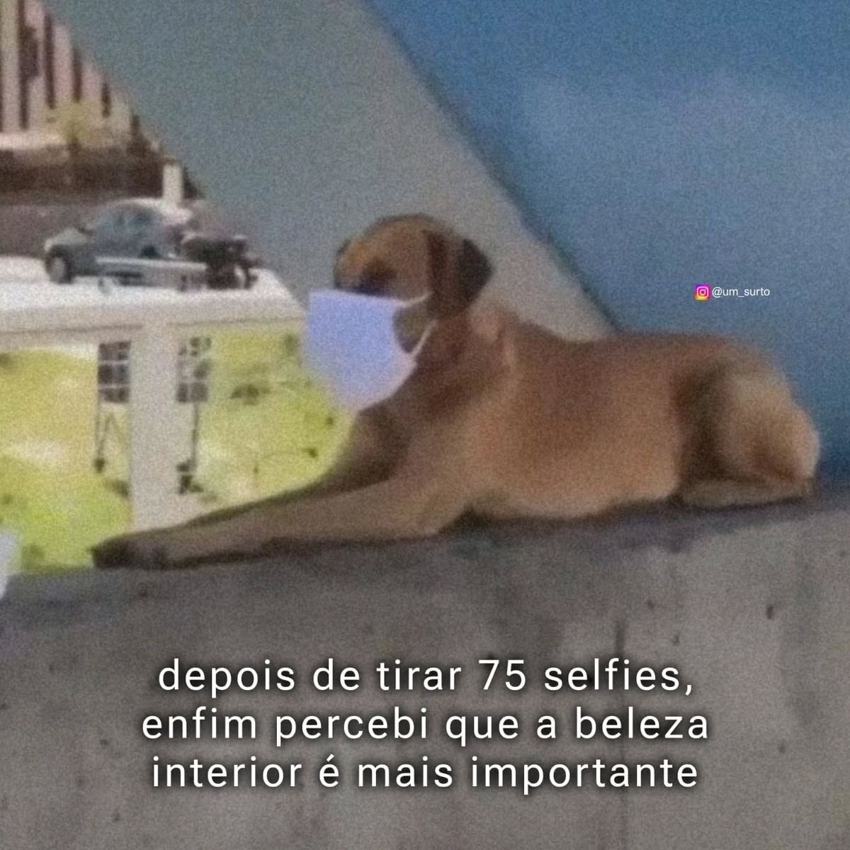 paginalixo1's tweet image. 