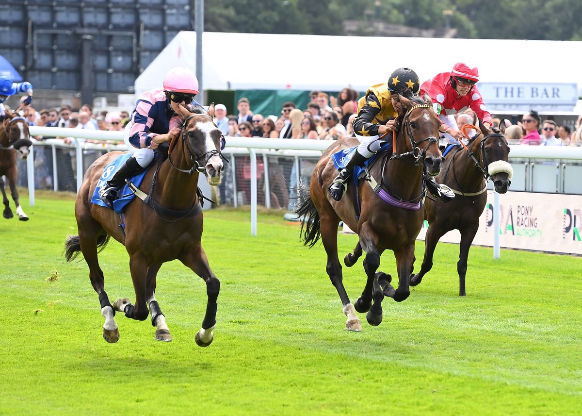 ChesterRaces's tweet image. Congratulations to Madame Mini and rider Grace Williams who won the Dragon TV and Film Studios Pony Race!
It’s great to stars of the future here at Chester 🐎
@ponyracinggb