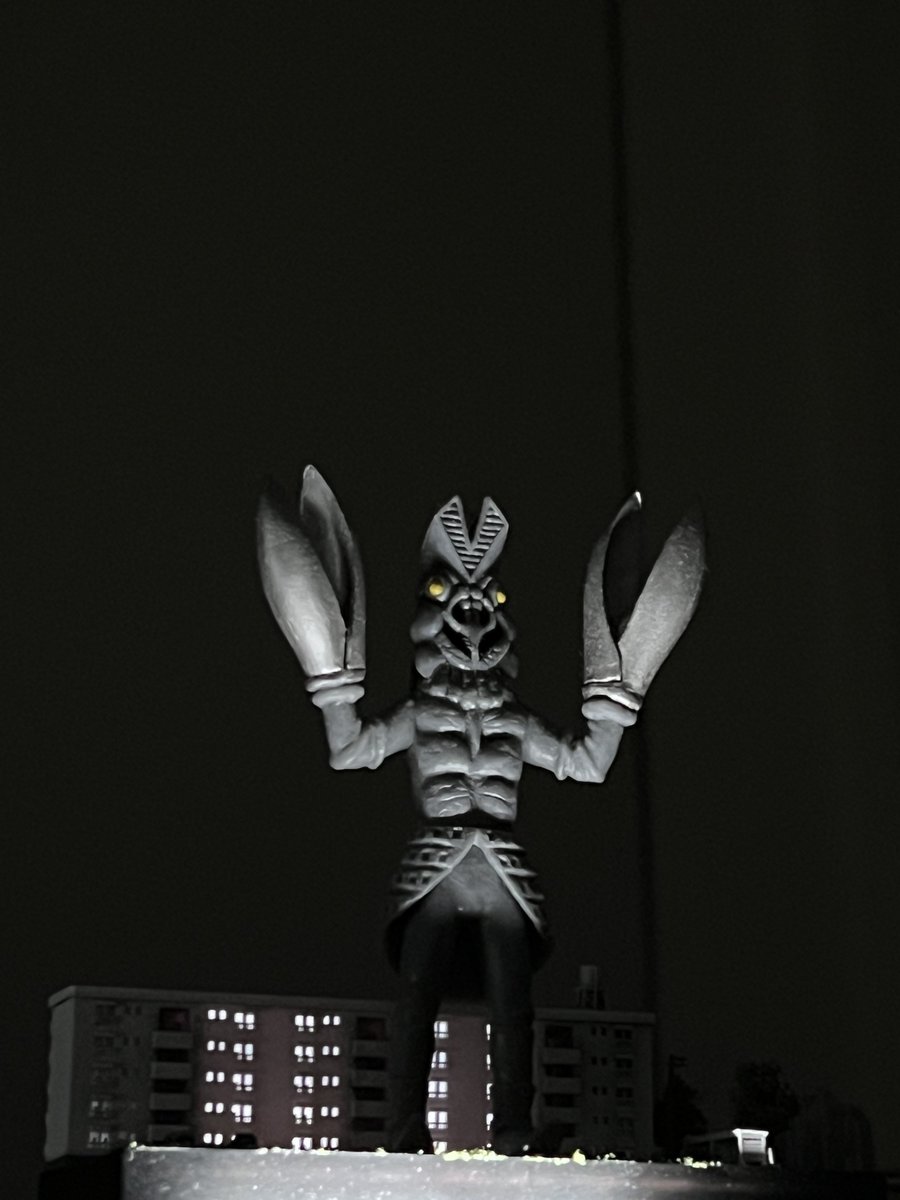 ngshimada's tweet image. あー、屋根遮光するの忘れてた