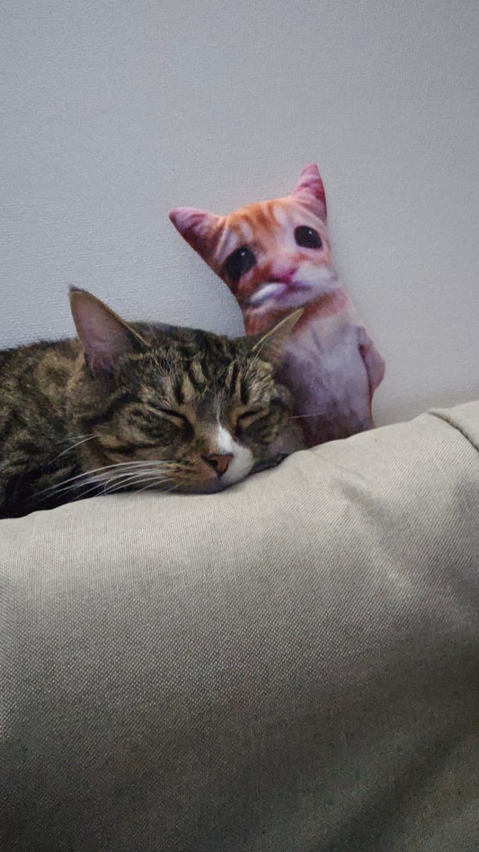 CarmenedOwO tweet media