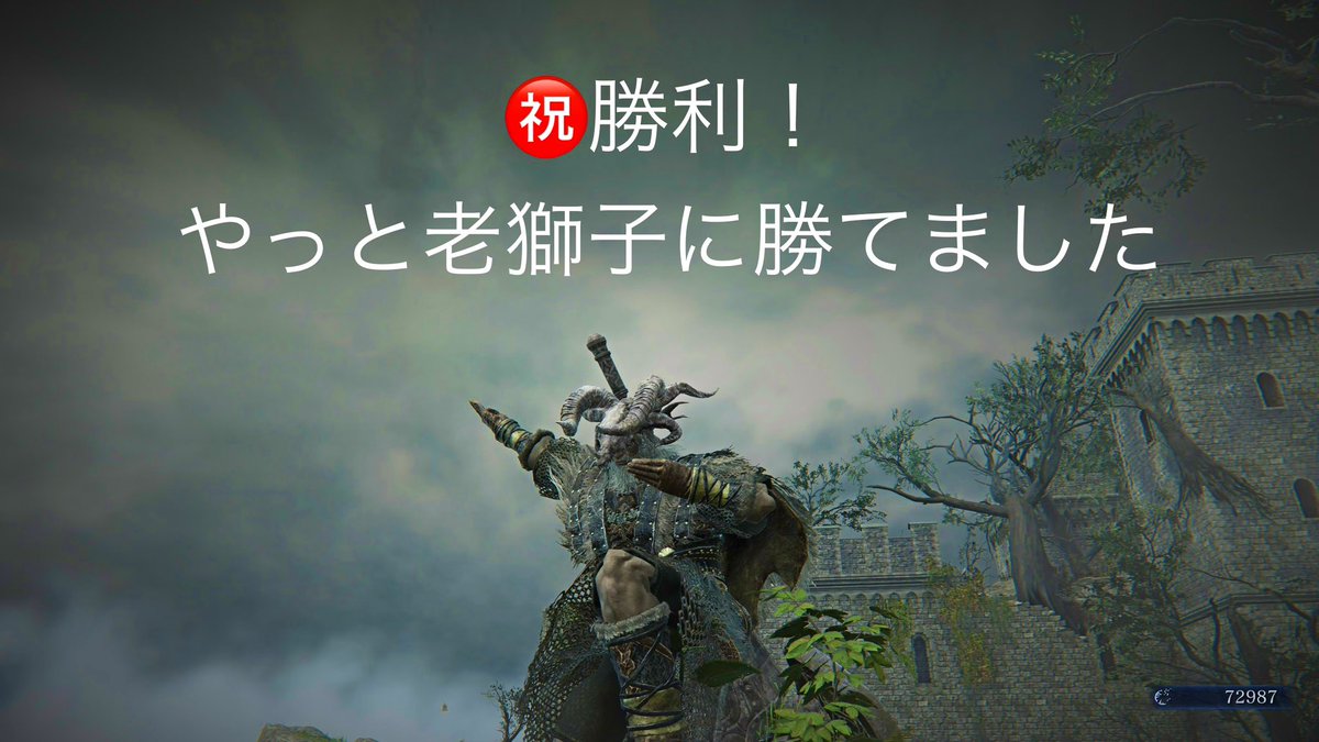 miko1786433's tweet image. 老獅子に勝てました🥲
距離をとって「冷気の霧」、回避で背後に回り込んでお尻を叩ようにして何とか勝てました!教えて頂いた武器ガード、ガードカウンター、ダッシュ強攻撃は、焦ると出せなくて、まだまだ修行が必要です。使いこなせるように練習します❤️🔥アドバイス本当に感謝です❤️🙇#ナイトレイン