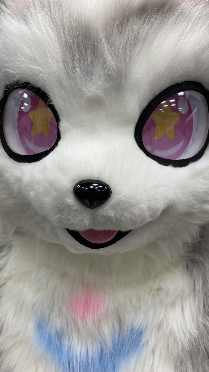 シェイプくんまとめ2

ドアップシェイプくん
1枚目:横　2枚目:縦

#みけこん2025なつ