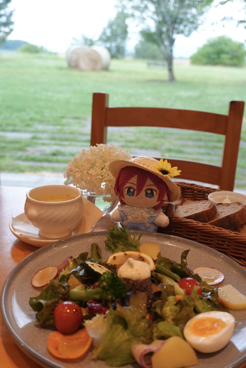 mochi__paradise's tweet image. 美瑛の自然を満喫するいばぬ
 #いつぬいが見られるタグ