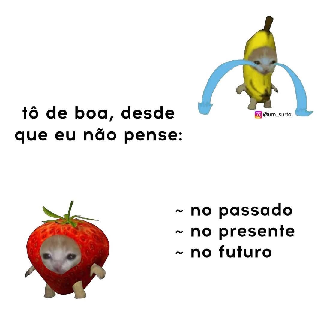 paginalixo1's tweet image. 