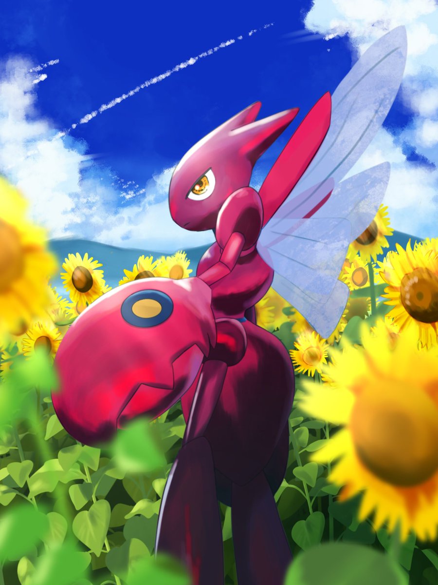 redamber9's tweet image. ハッサム