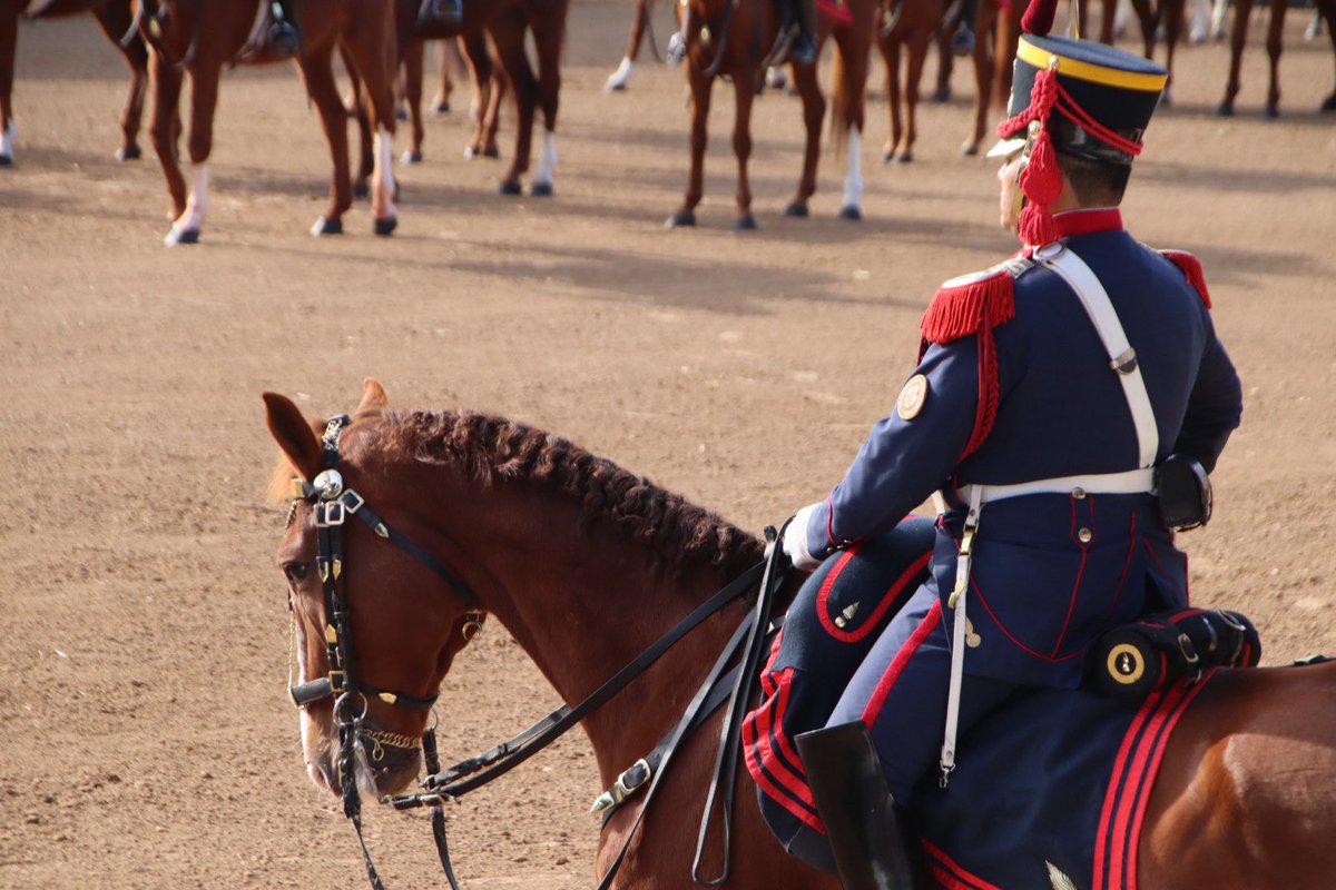 Granaderosarg's tweet image. ¡Buen sábado para todos y un excelente comienzo de fin de semana! 🇦🇷 🐴#BuenSabado #FelizSabado #HerederosDelLibertador #UnRegimientoConHistoria #SomosHistoriaViva #Granaderos