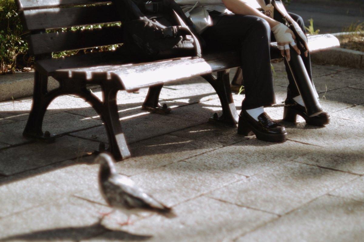 10__camera's tweet image. #010photo